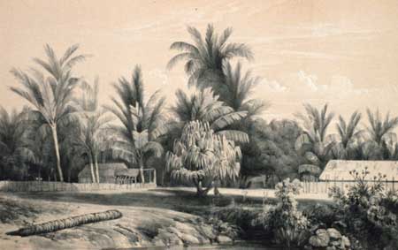 Tahiti houses, circa 1842